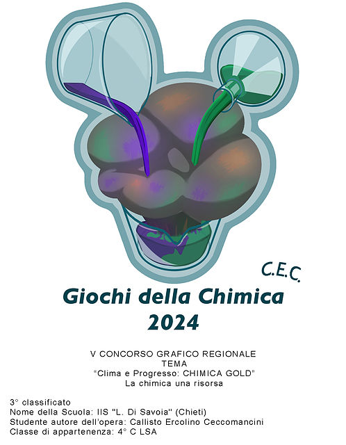 3° classificato - Callisto Ercolino Ceccomancini